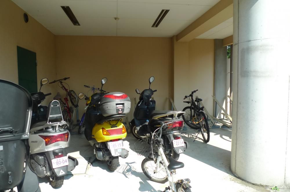 �y���̑����L�����z�@