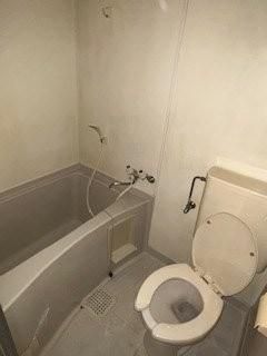 �y�g�C���z�@