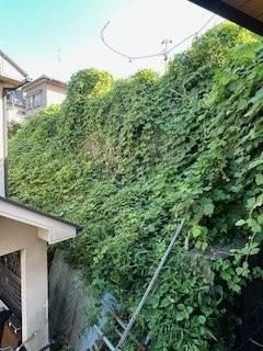 �y�o���R�j�[�z�@