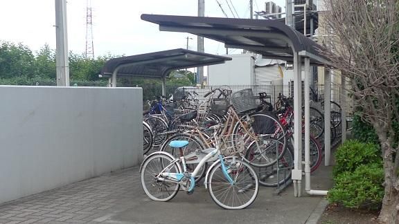 �y���̑����L�����z�@